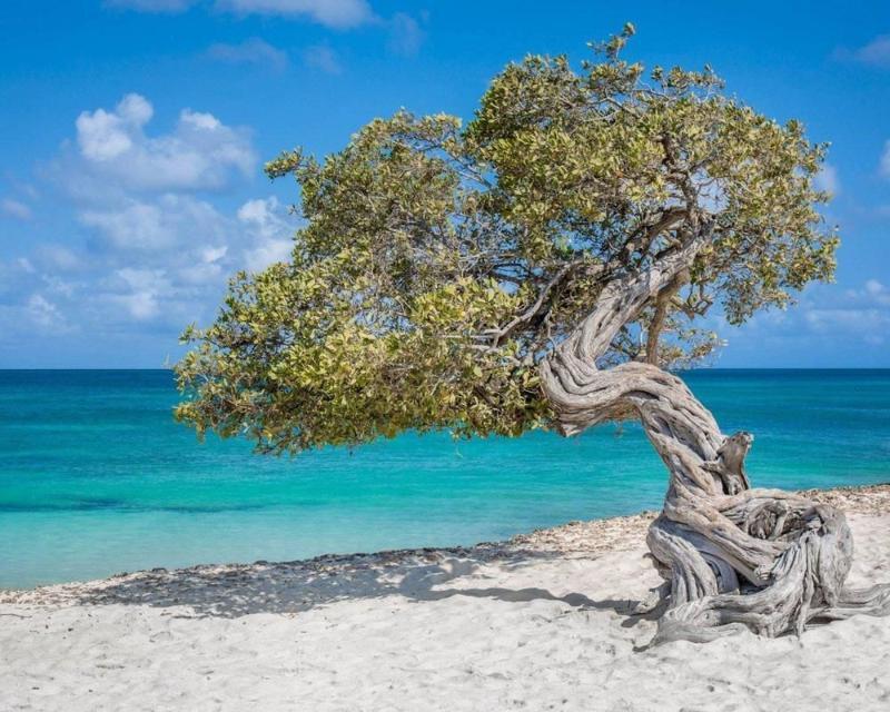 Villa Park Fontein Curacao Экстерьер фото